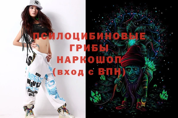 трава Аша