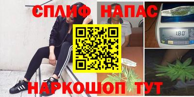 каннабис Берёзовский