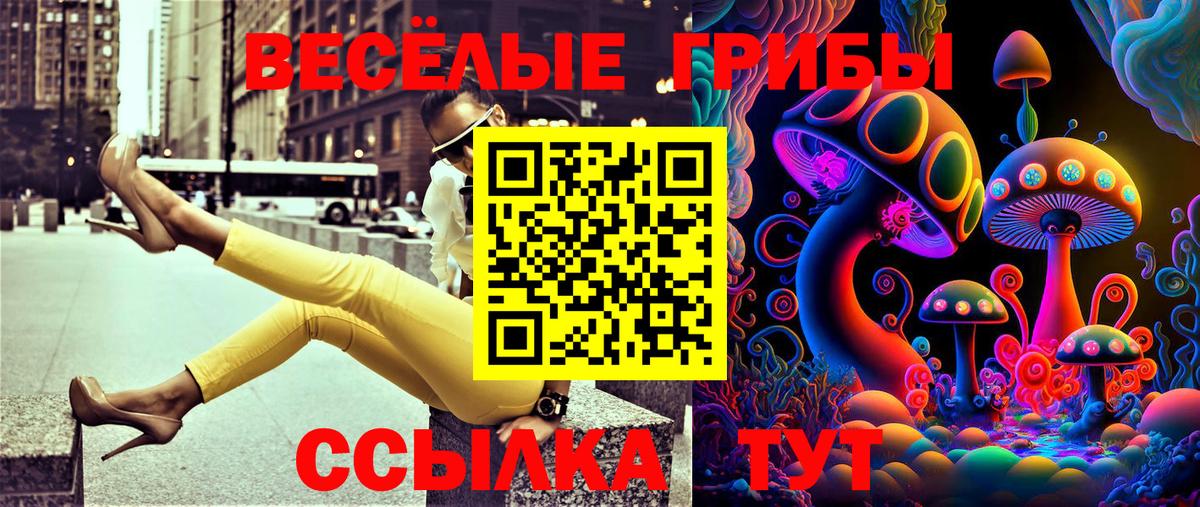 Псилоцибиновые грибы Psilocybe  Губаха 