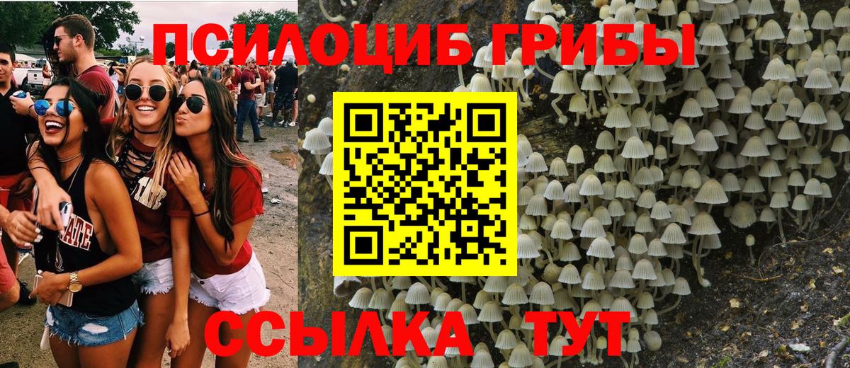 Псилоцибиновые грибы прущие грибы Губаха
